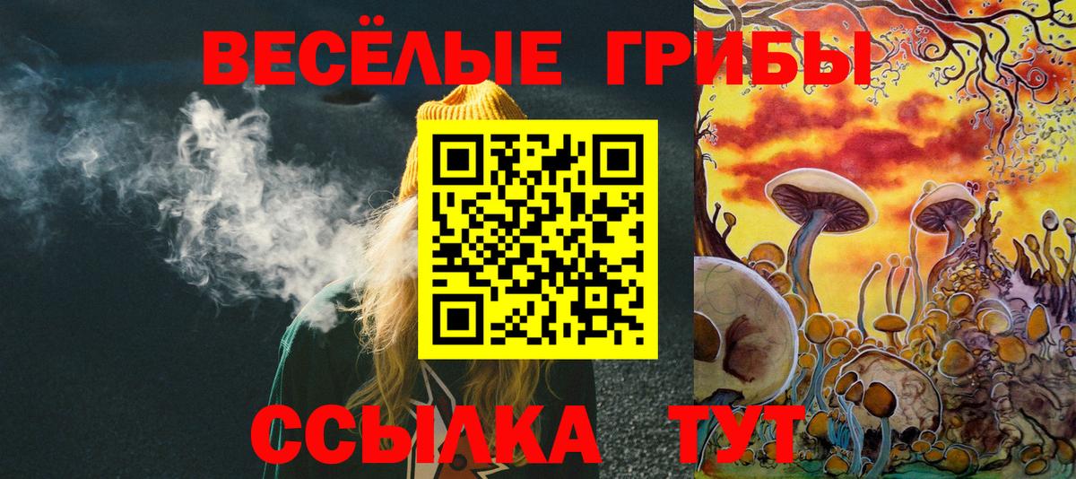 Шарыпово  Псилоцибиновые грибы MAGIC MUSHROOMS  Вход с VPN 